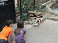 Kids_DFWzoo_3-2016 (251)